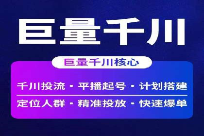 谷歌SEM与移动端优化：某APP的推广策略及效果
